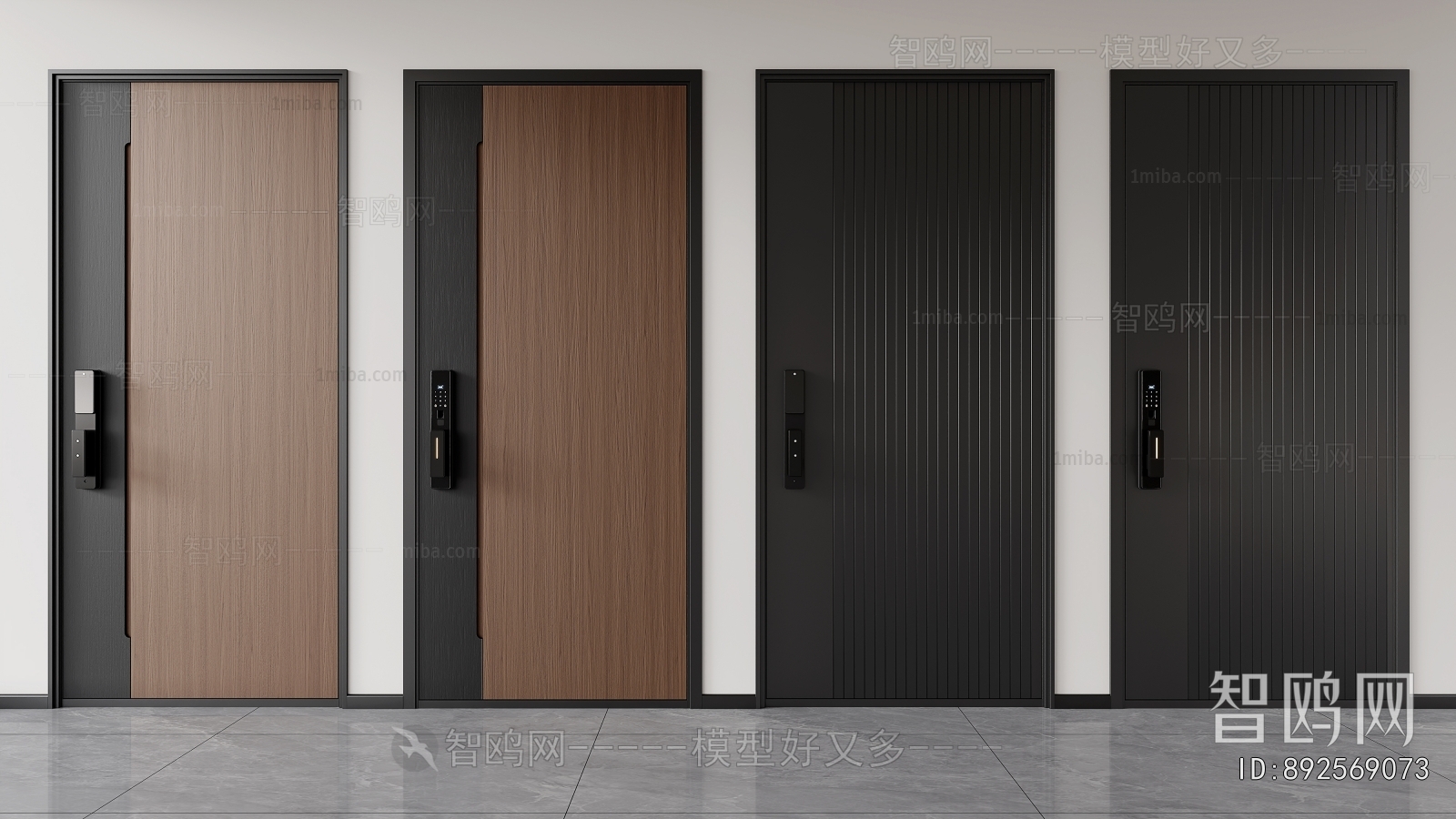 Modern Entrance Door