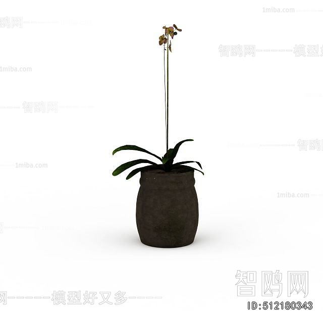 Modern Potted Green Plant