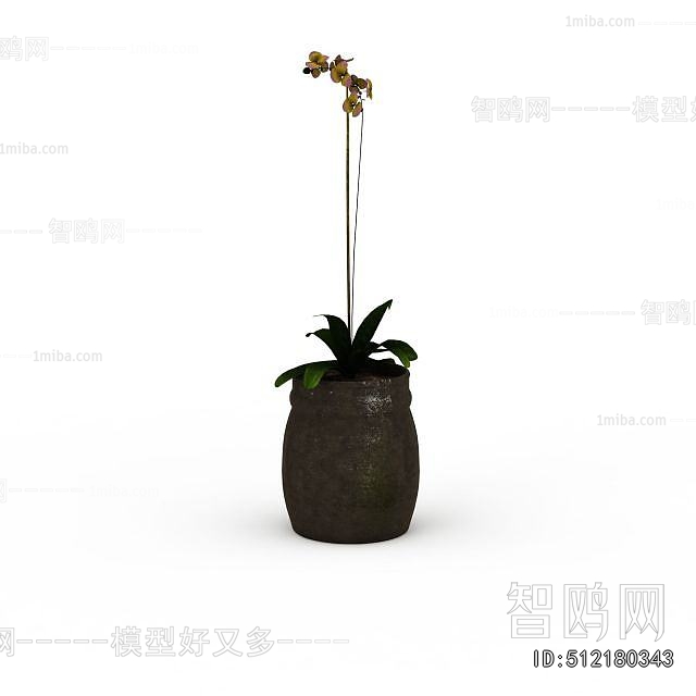 Modern Potted Green Plant