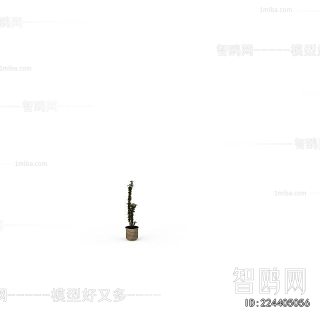 Modern Potted Green Plant