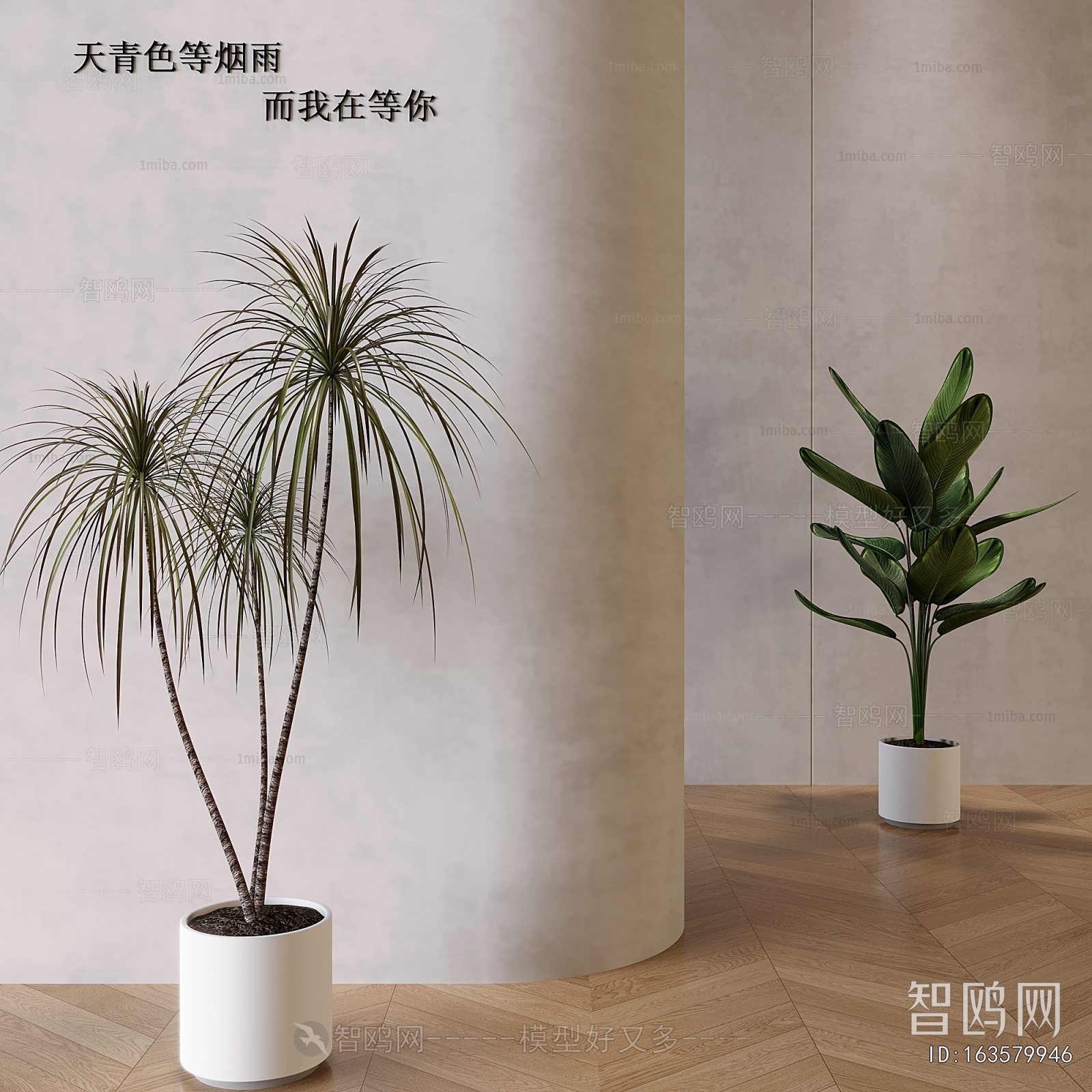 Modern Ground Green Plant Potted Plants