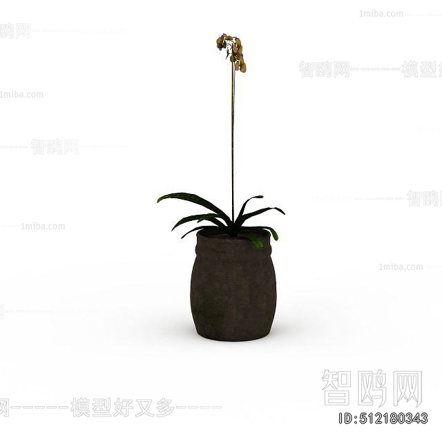 Modern Potted Green Plant