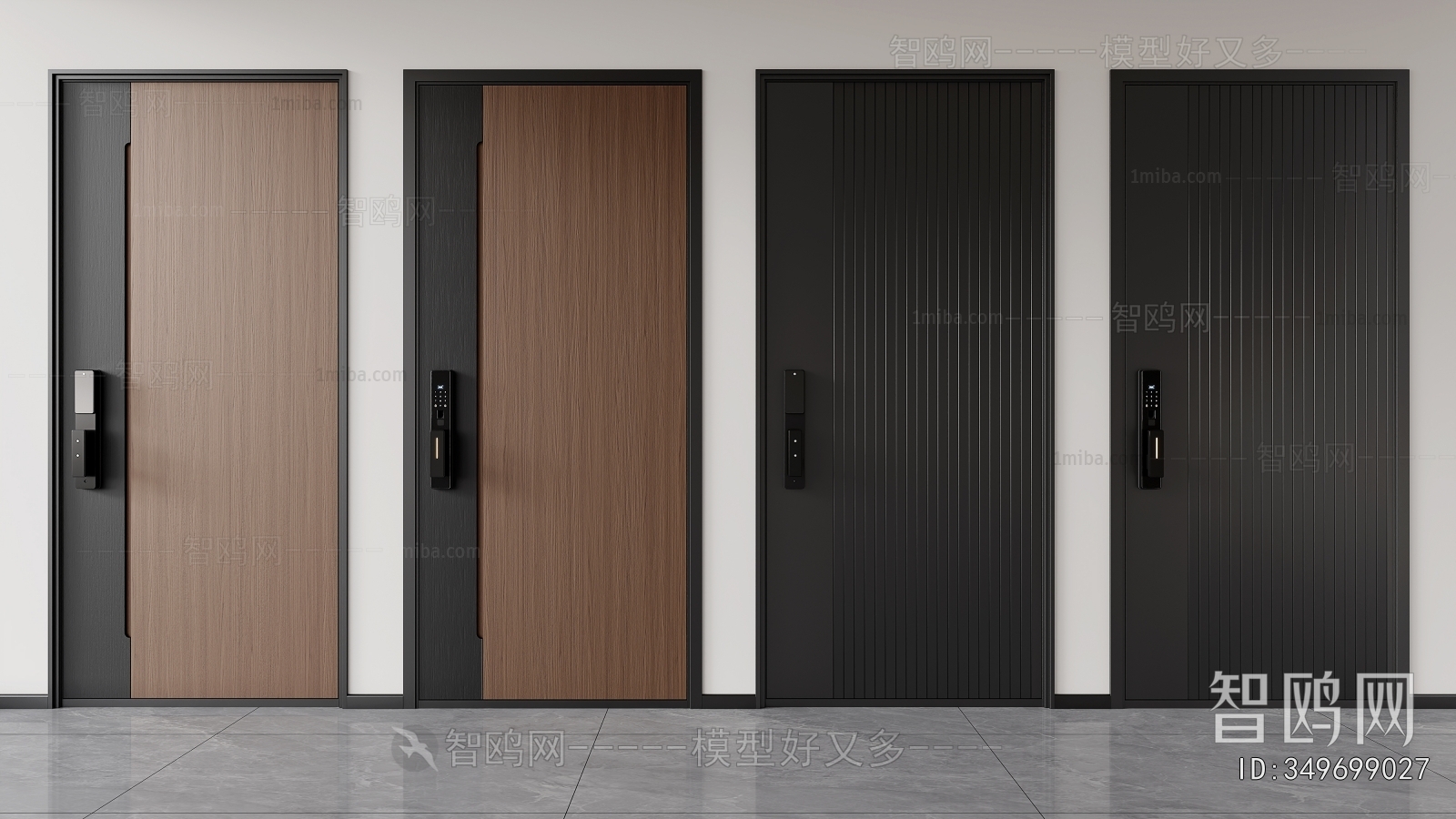 Modern Entrance Door