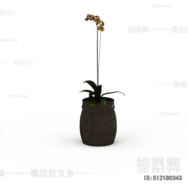 Modern Potted Green Plant
