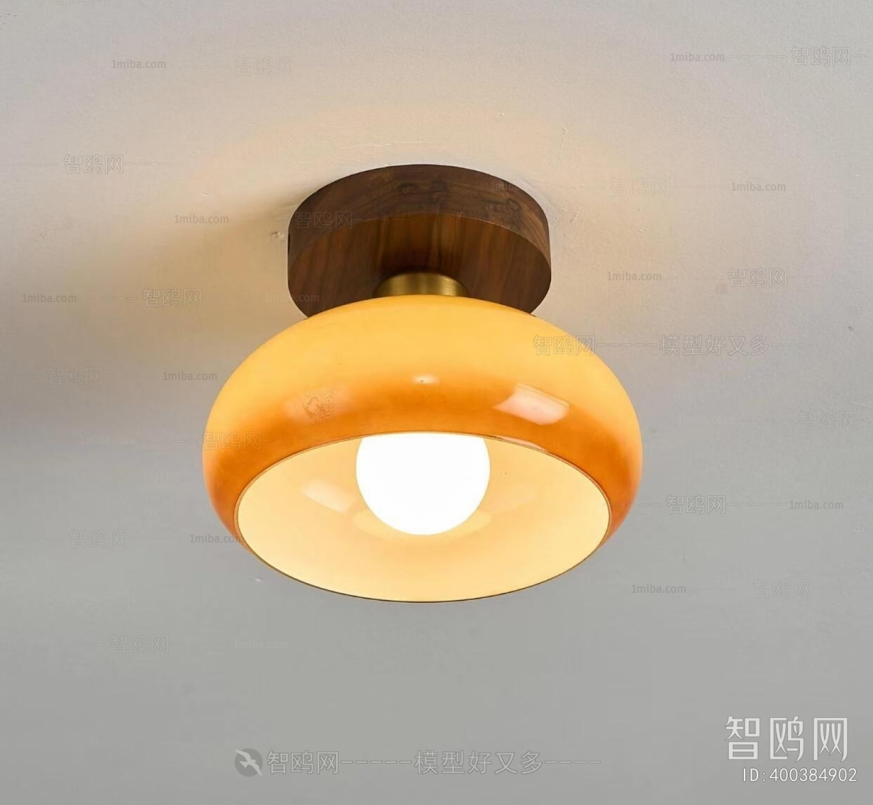 Modern Ceiling Ceiling Lamp