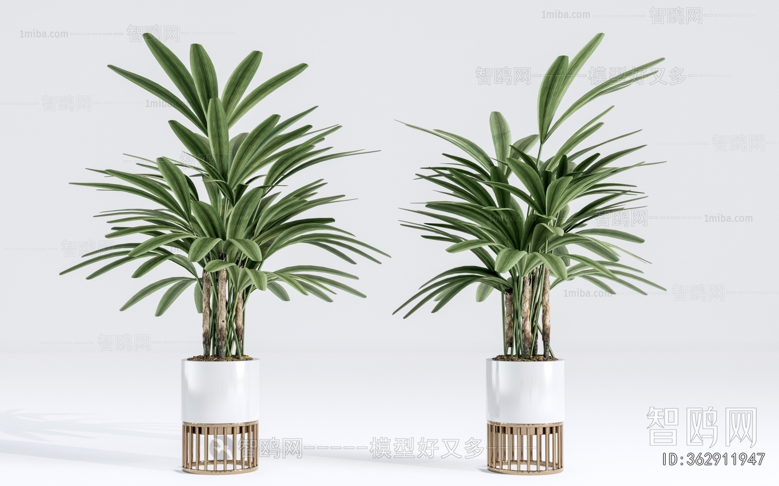 Modern Ground Green Plant Potted Plants