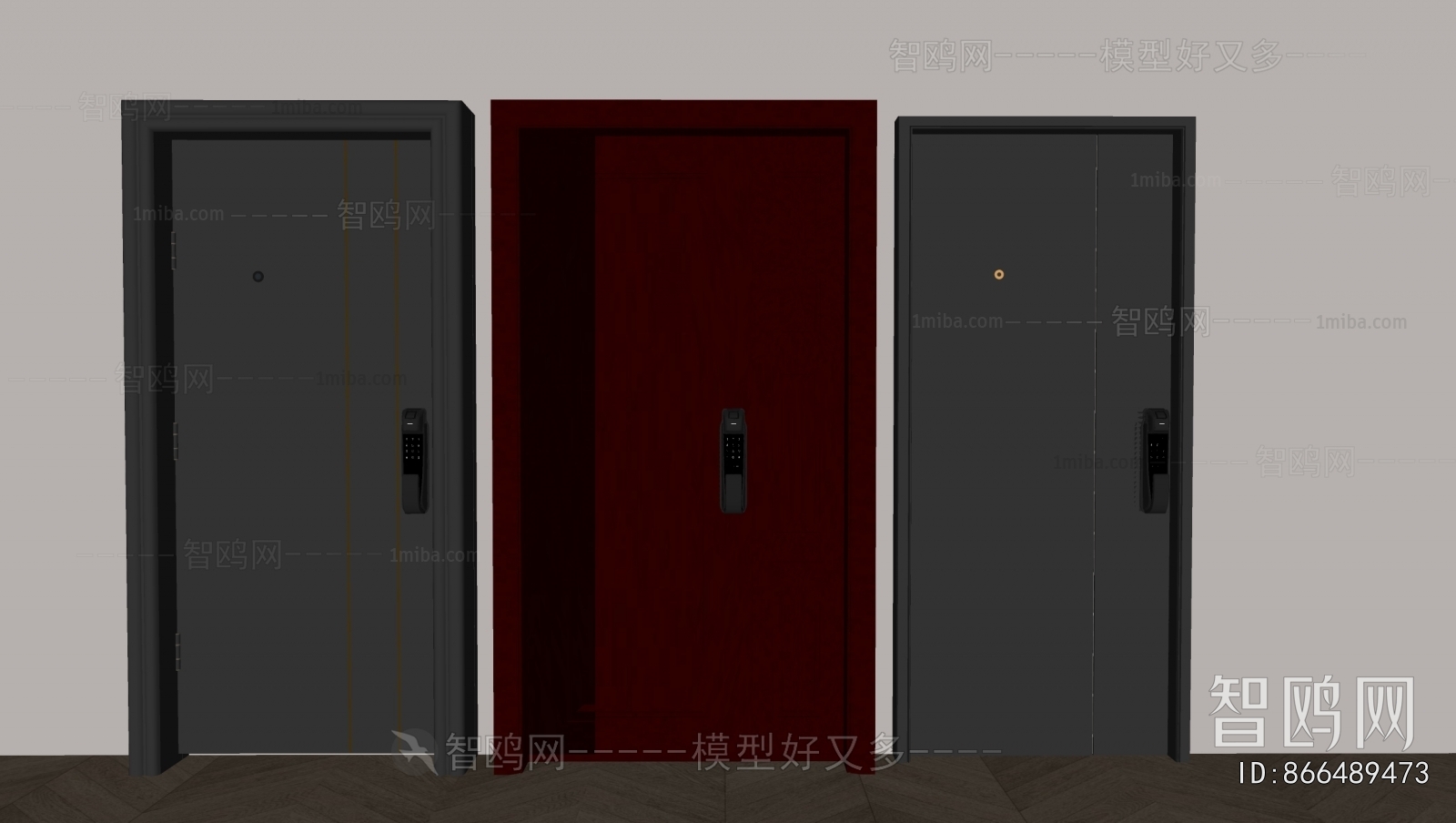 Modern Entrance Door