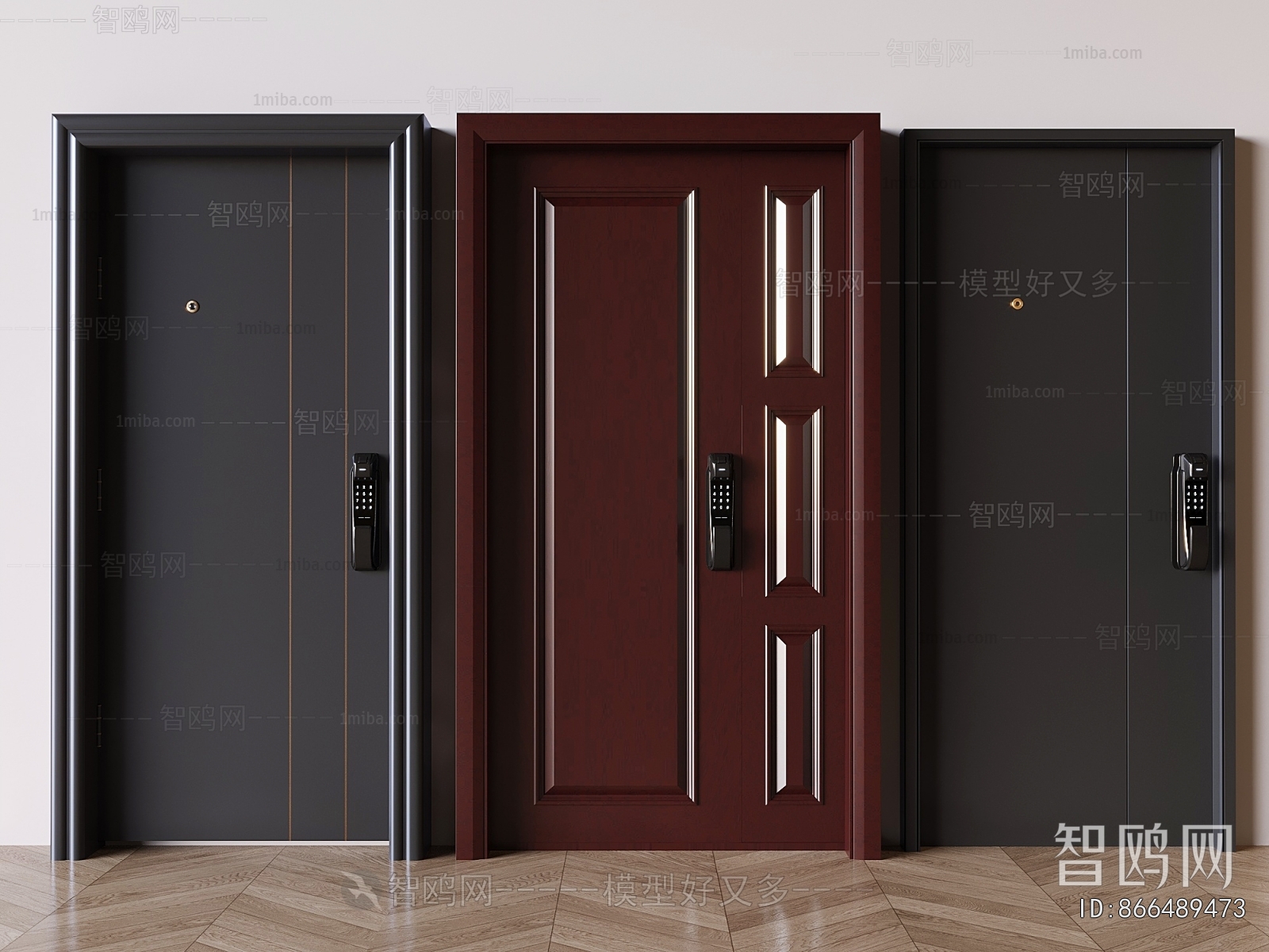 Modern Entrance Door
