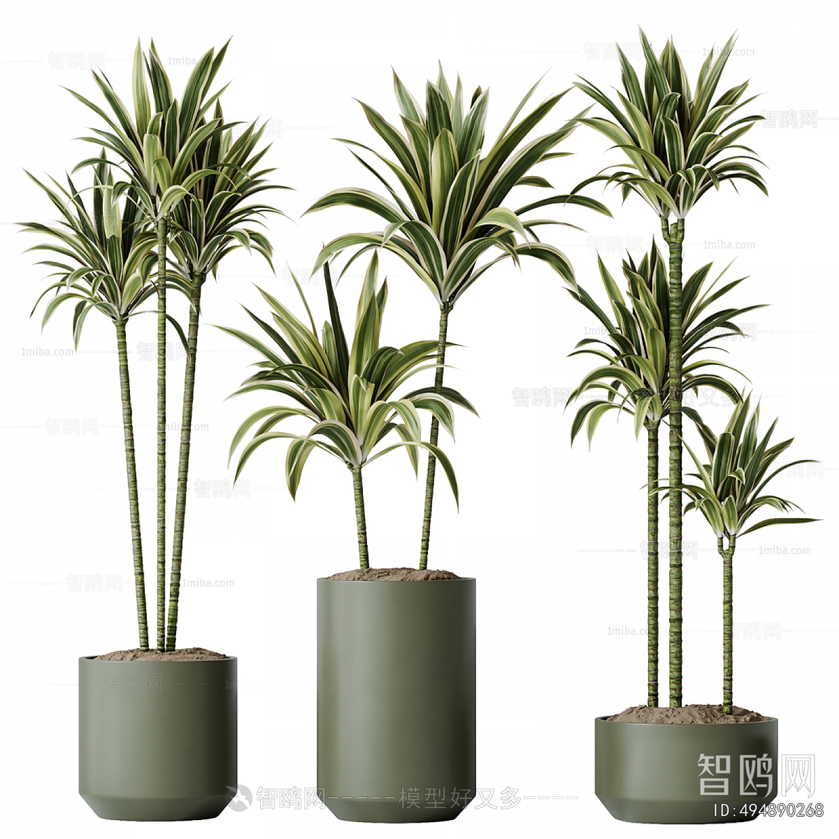 Modern Ground Green Plant Potted Plants