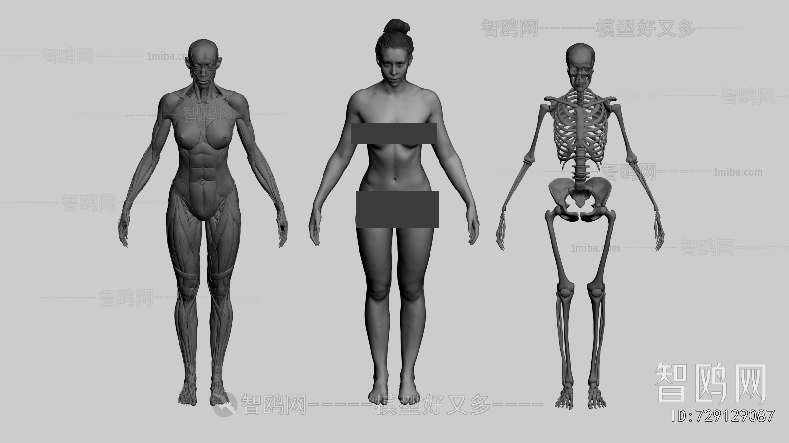 Modern Medical Equipment