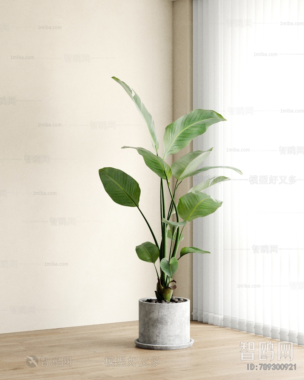 Modern Ground Green Plant Potted Plants