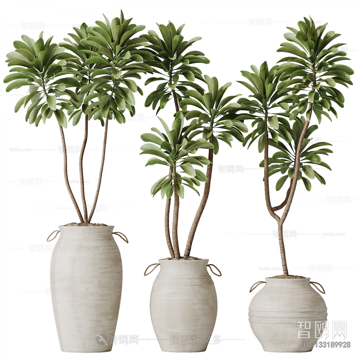 Modern Ground Green Plant Potted Plants