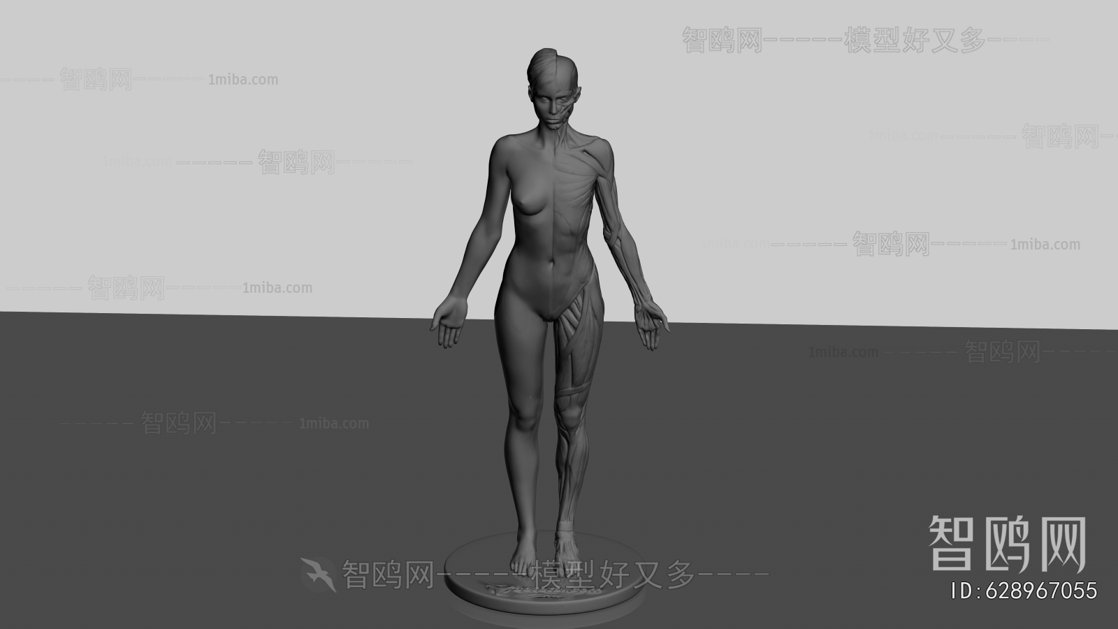 Modern Medical Equipment