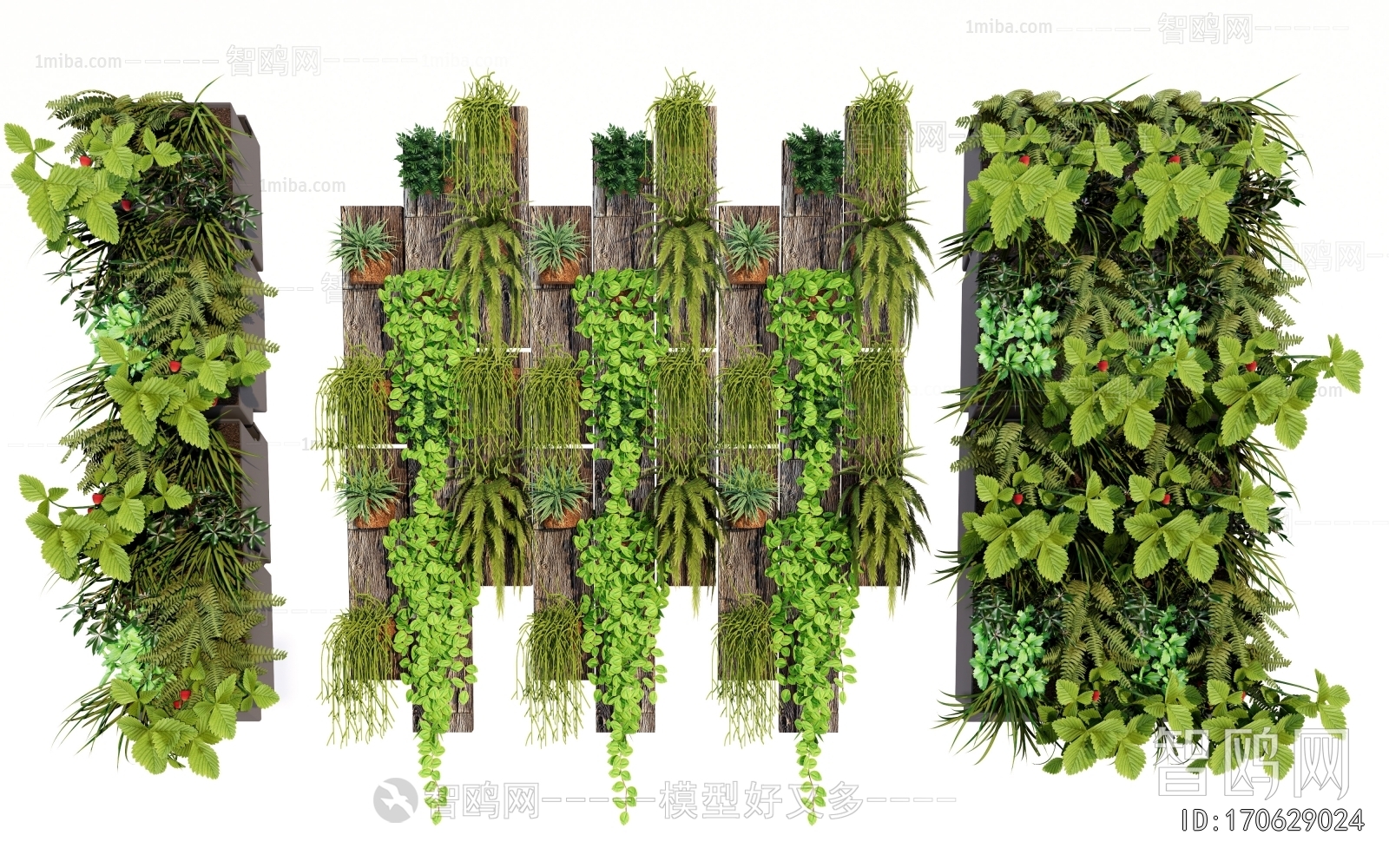 Modern Plant Wall