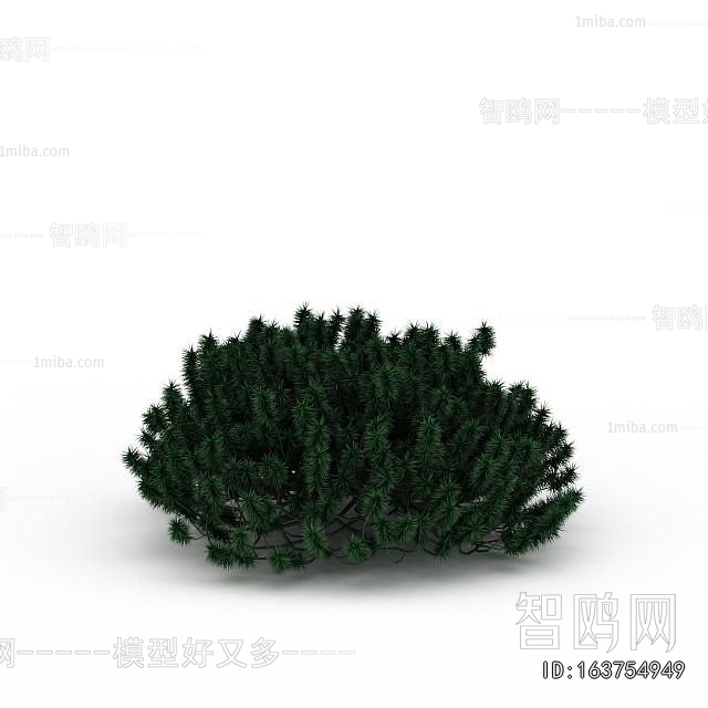 Modern Shrubbery