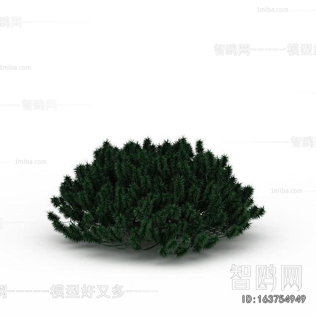 Modern Shrubbery