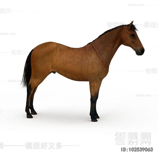 Modern Animal Horse