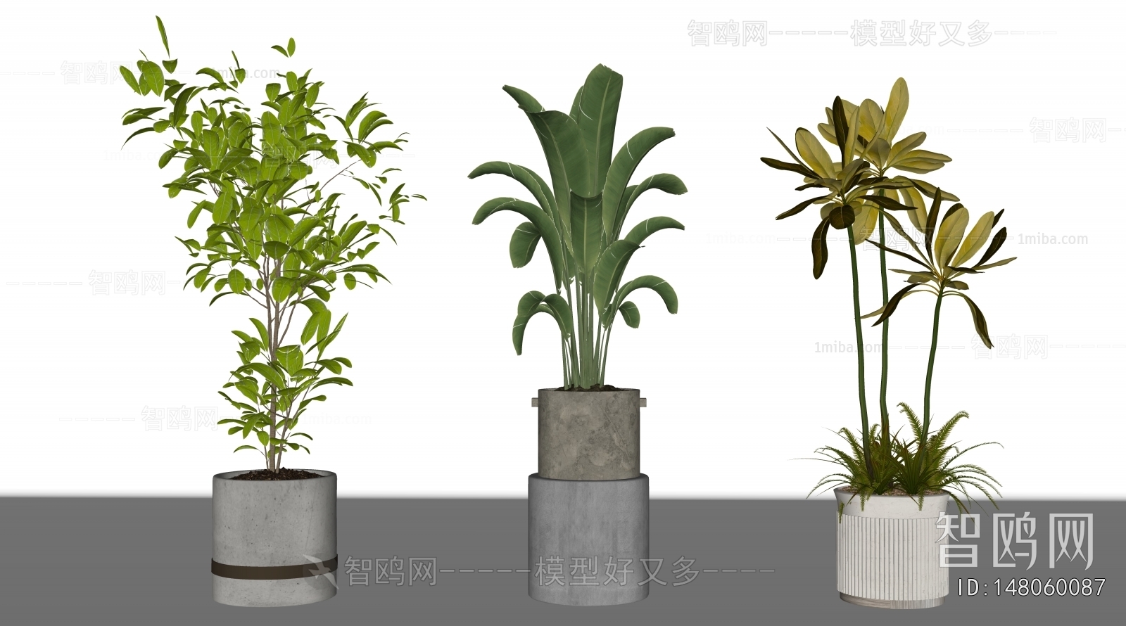 Modern Ground Green Plant Potted Plants