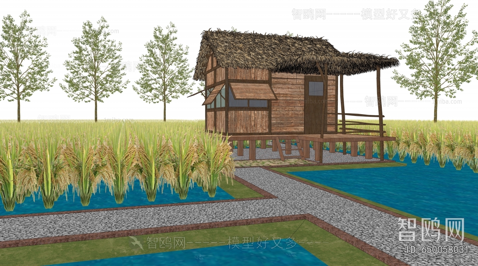 Modern Appearance Of Commercial Building