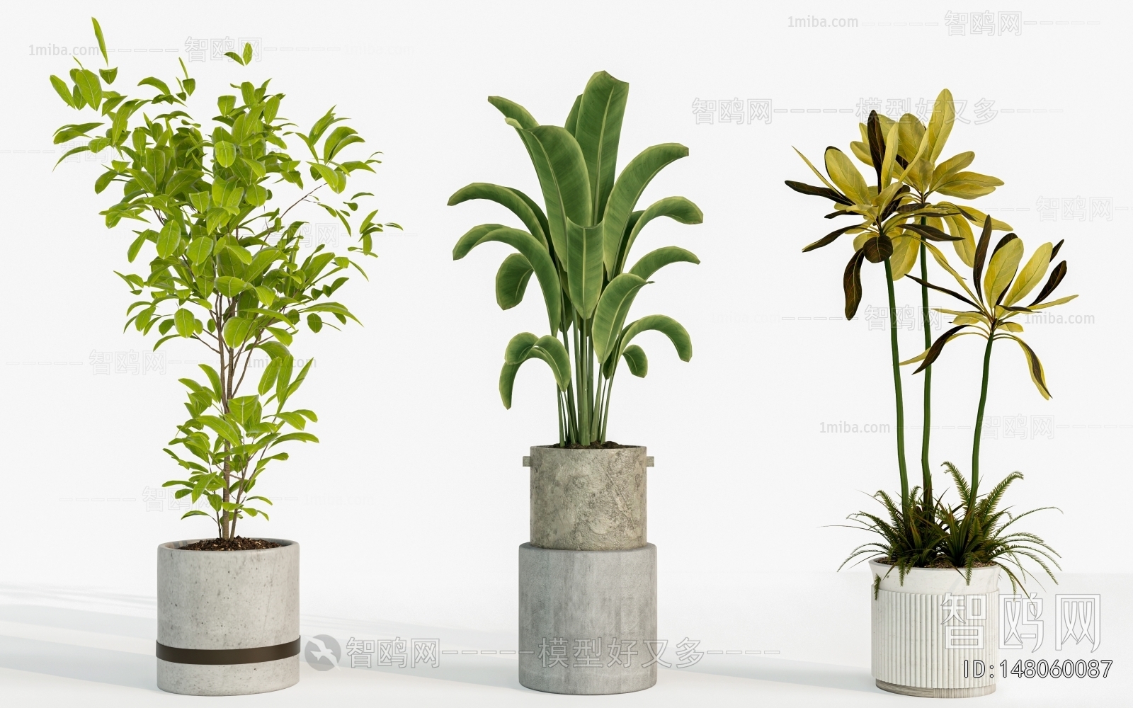 Modern Ground Green Plant Potted Plants