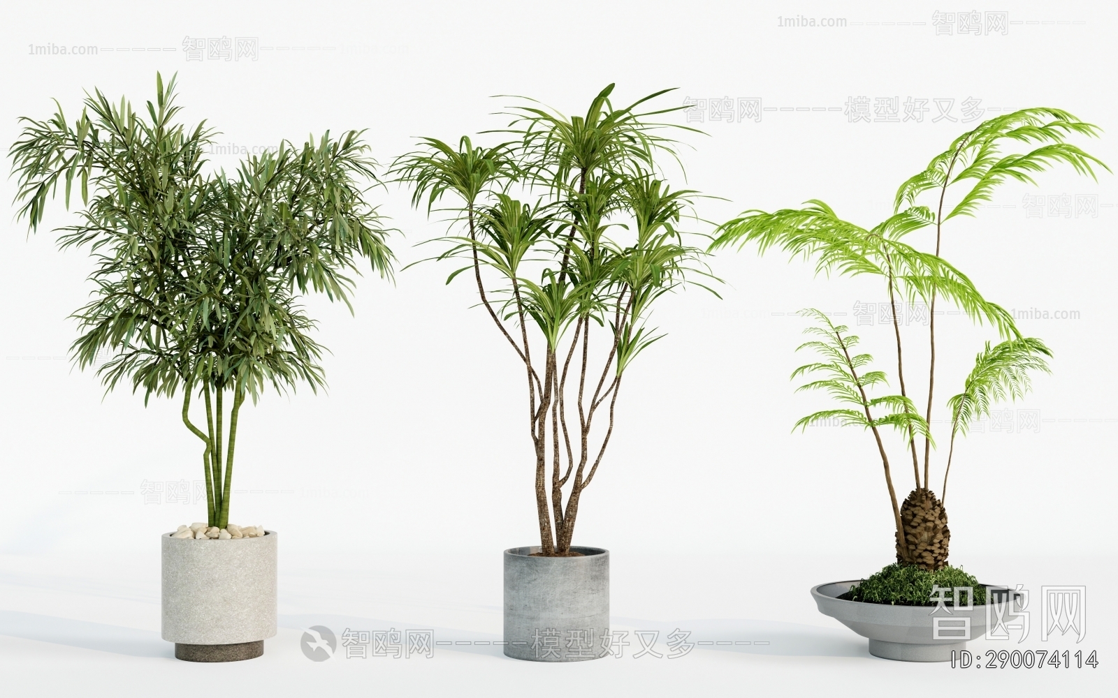 Modern Ground Green Plant Potted Plants