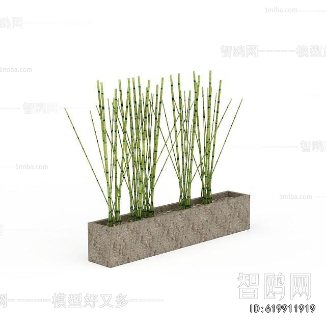 Modern Bamboo