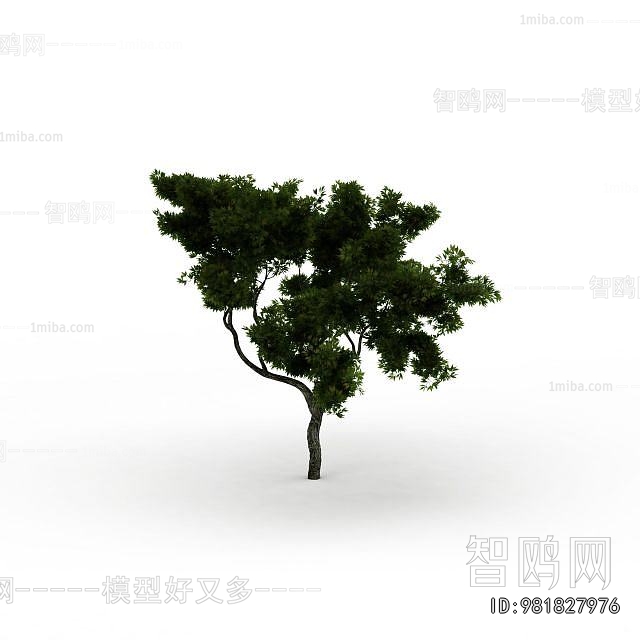 Modern Tree
