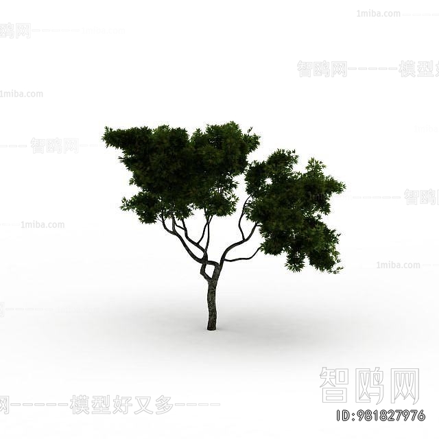 Modern Tree