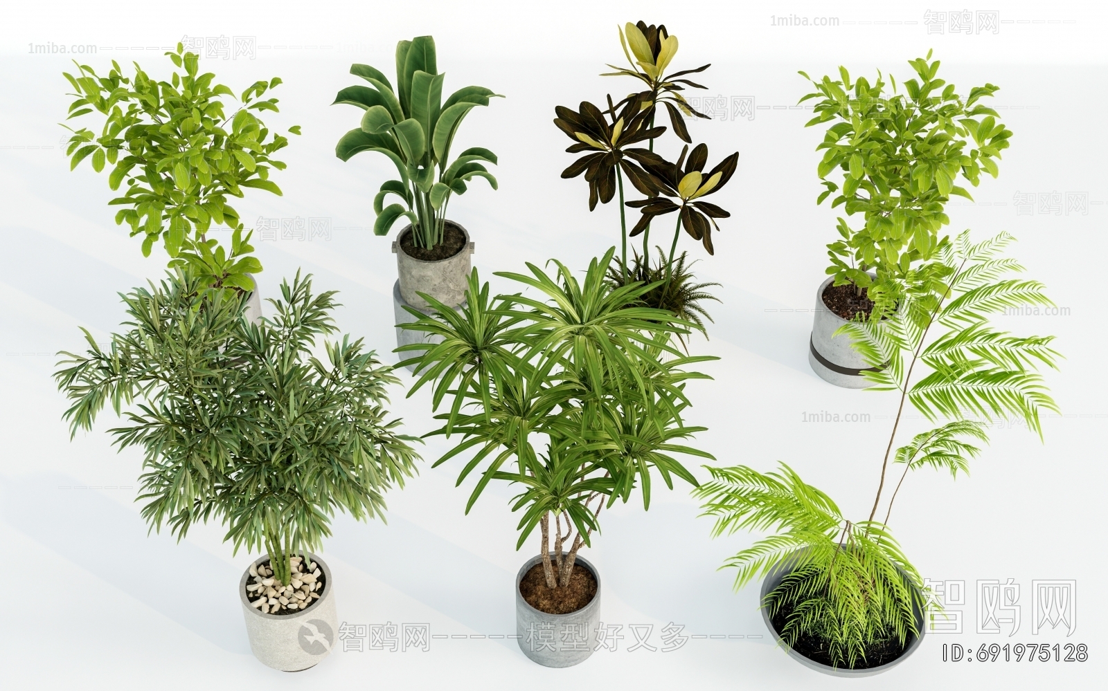 Modern Ground Green Plant Potted Plants