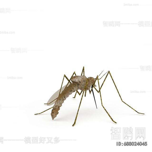 Modern Other Animals