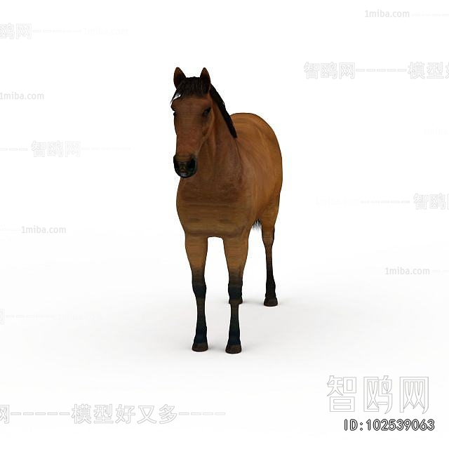 Modern Animal Horse