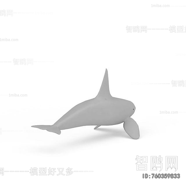 Modern Aquatic Animals