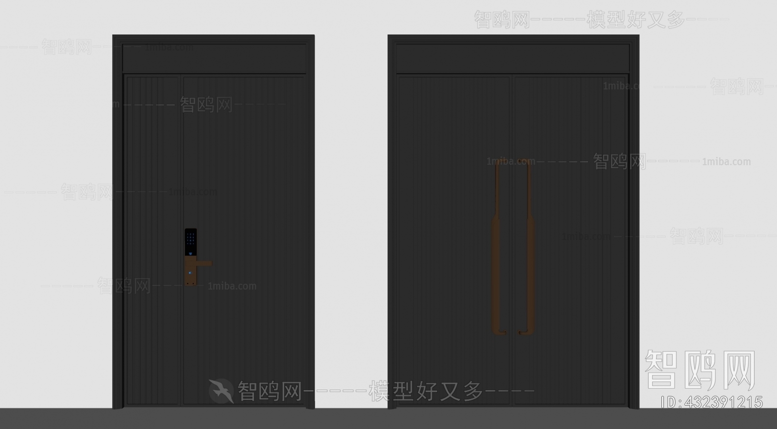 Modern Entrance Door