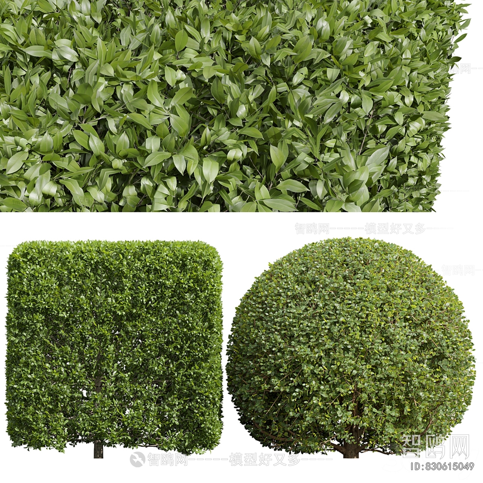 Modern Shrubbery