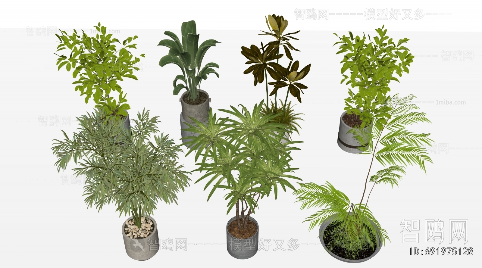 Modern Ground Green Plant Potted Plants