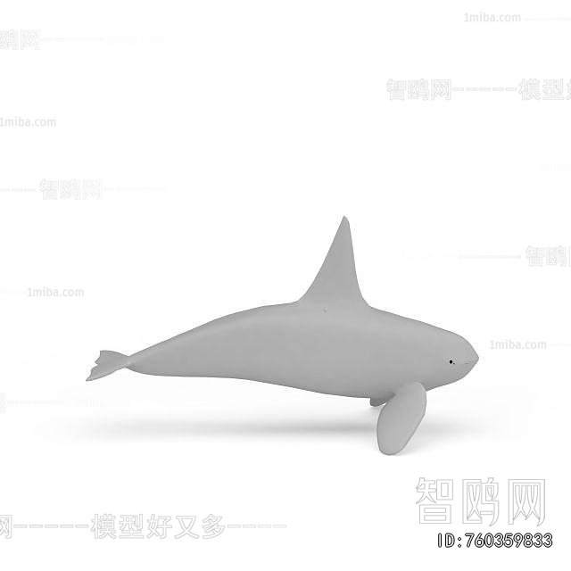 Modern Aquatic Animals