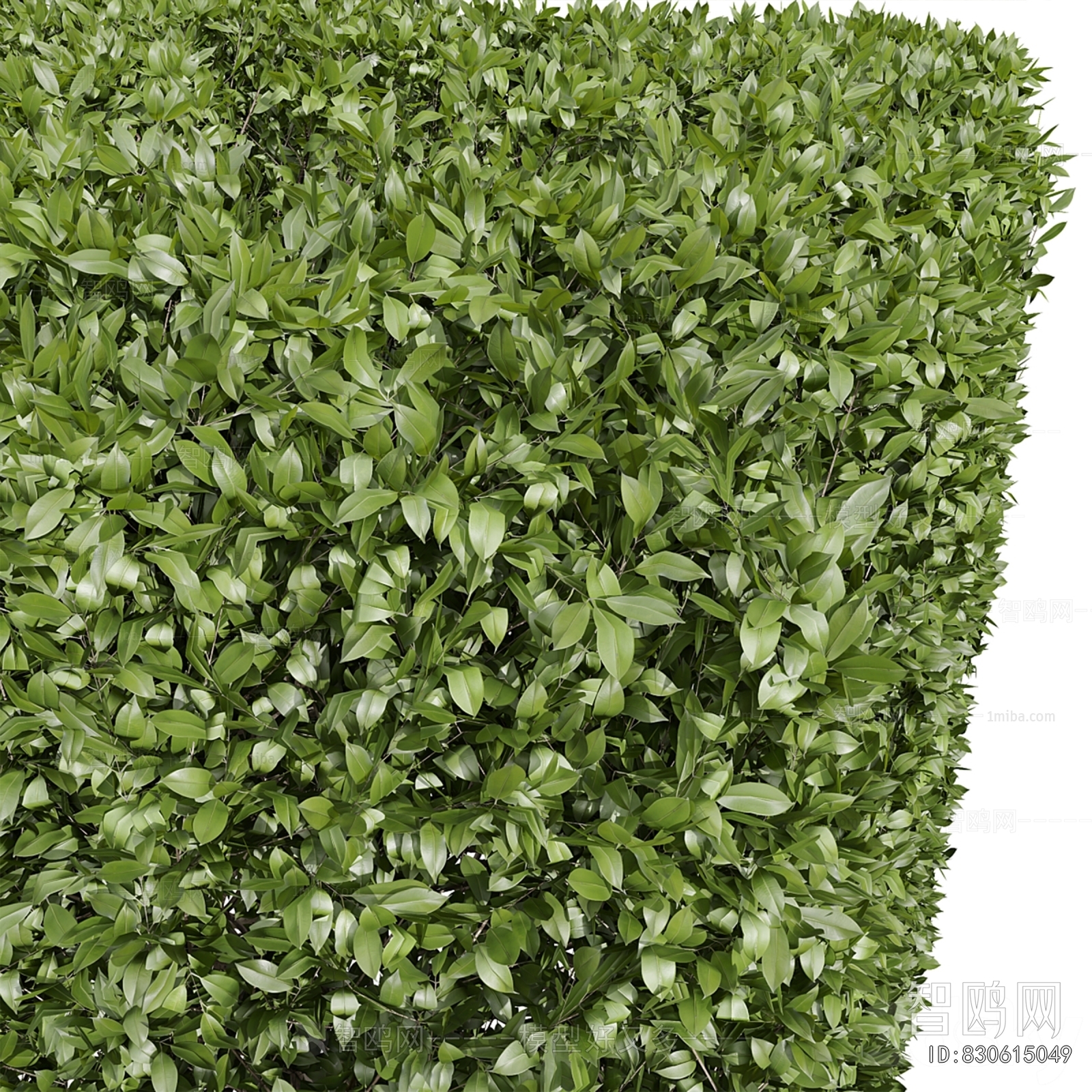 Modern Shrubbery