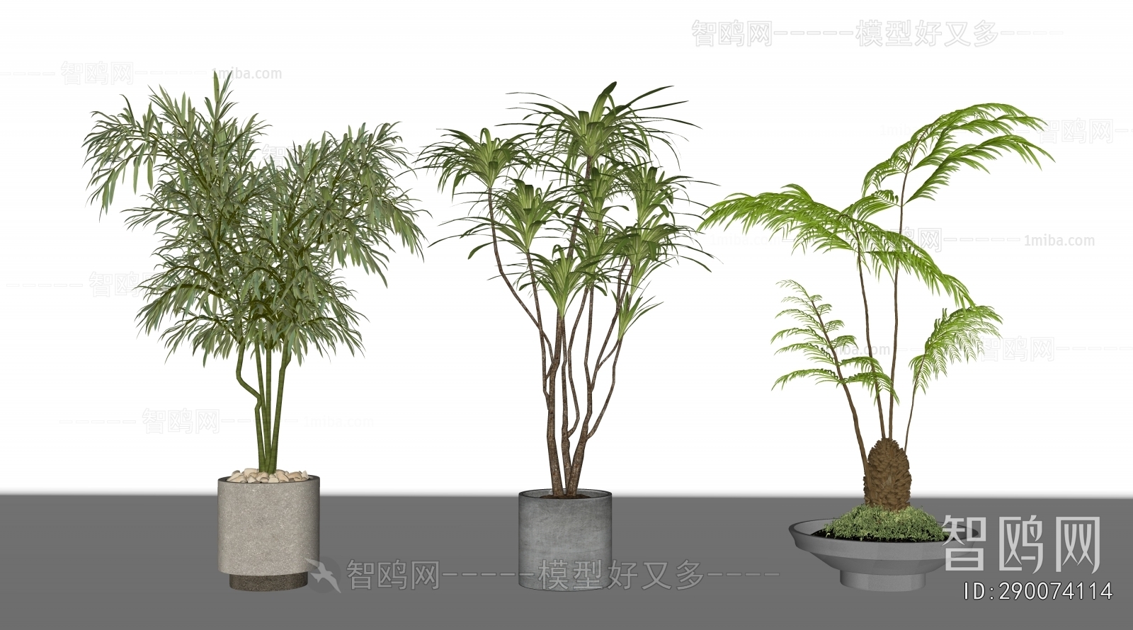 Modern Ground Green Plant Potted Plants