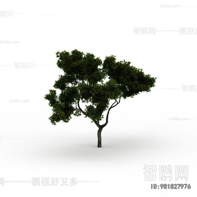 Modern Tree