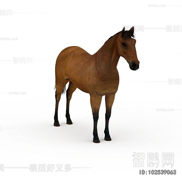Modern Animal Horse