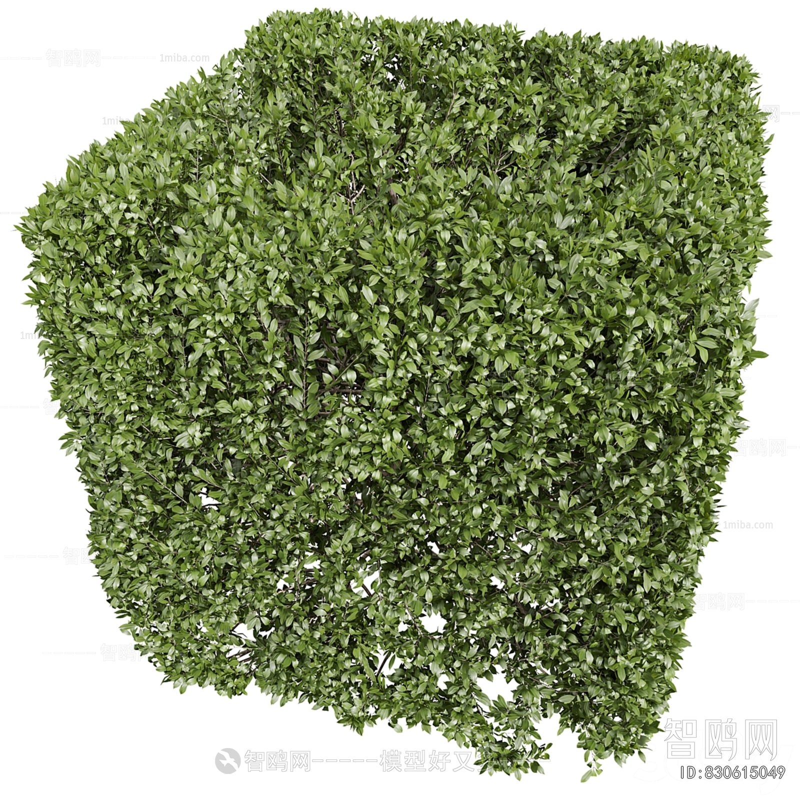 Modern Shrubbery
