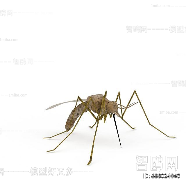 Modern Other Animals