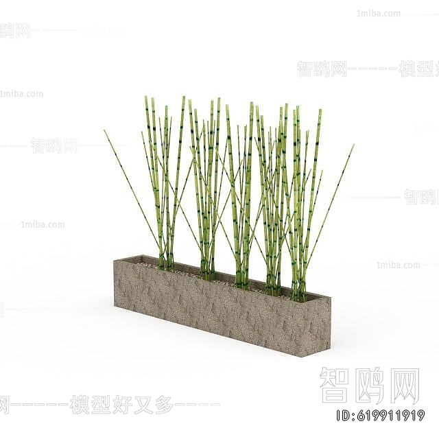 Modern Bamboo