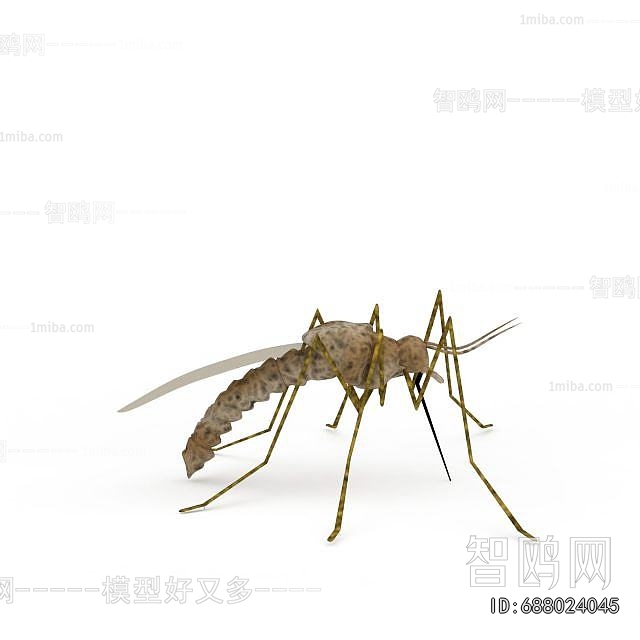 Modern Other Animals