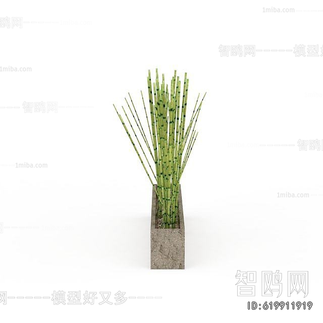 Modern Bamboo