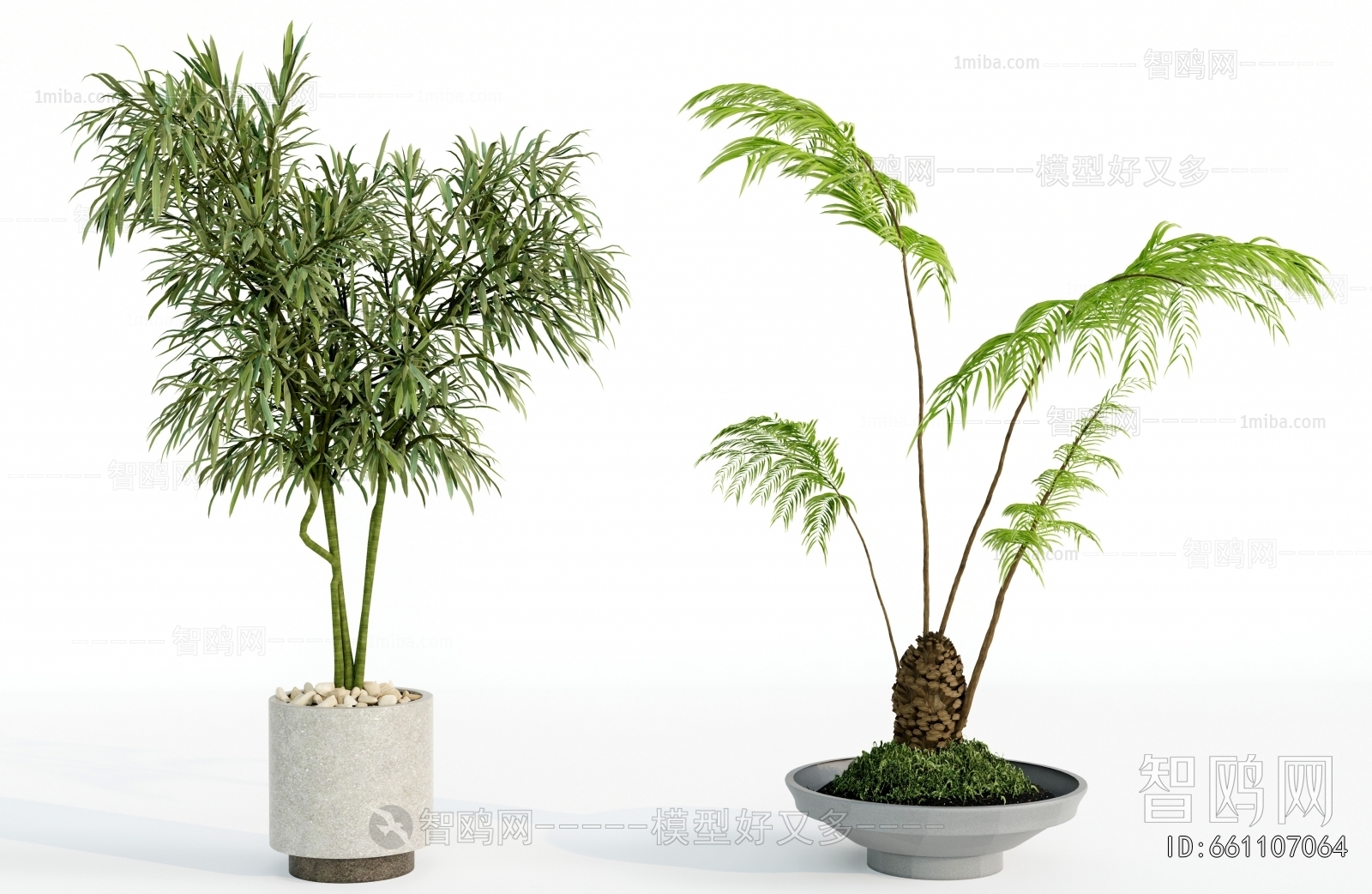 Modern Ground Green Plant Potted Plants