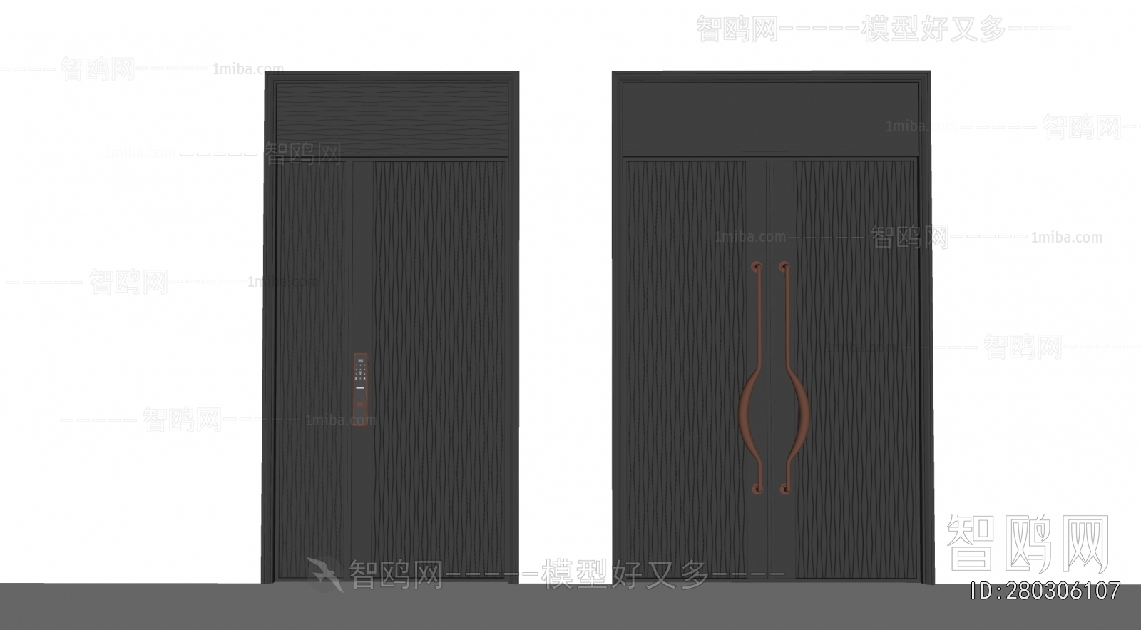 Modern Entrance Door