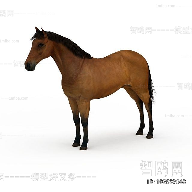 Modern Animal Horse