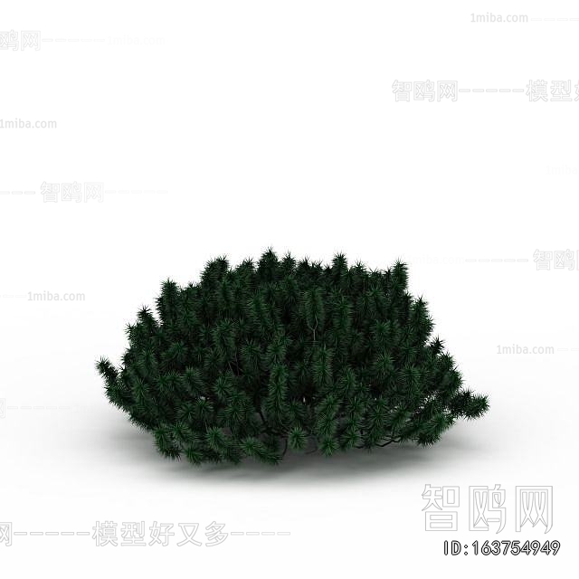 Modern Shrubbery