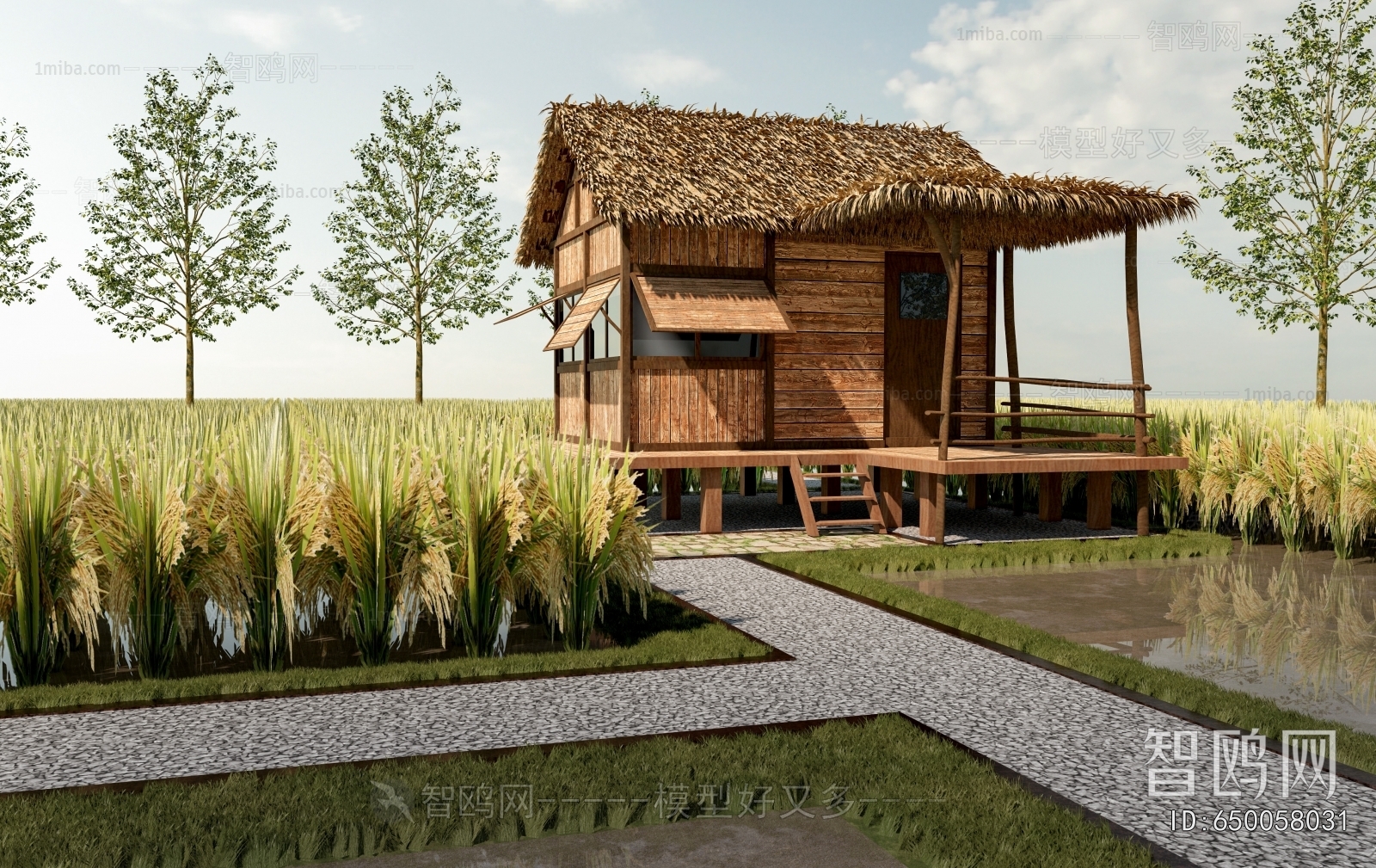 Modern Appearance Of Commercial Building